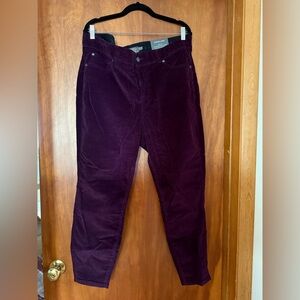NWT Torrid Women’s Bombshell Skinny High-Rise Pants, Purple, Size 20S